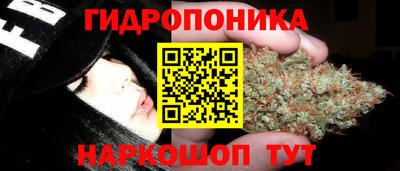 каннабис Будённовск