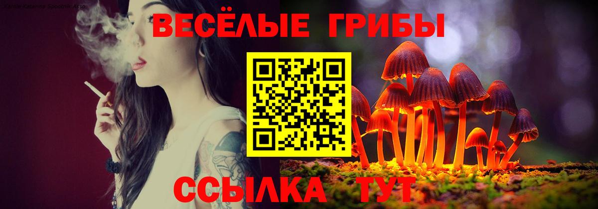 Чусовой  Псилоцибиновые грибы мухоморы  Вход с VPN 